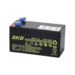 Batteria al piombo 12V 1,3AH SKB ricaricabile