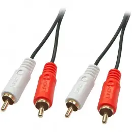 Cavo audio 2 spine RCA - 2 spine RCA lunghezza 10 metri