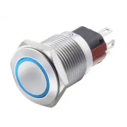 Interruttore antivandalo 1NA+1NC 16MM luminoso Blu 24V IP65